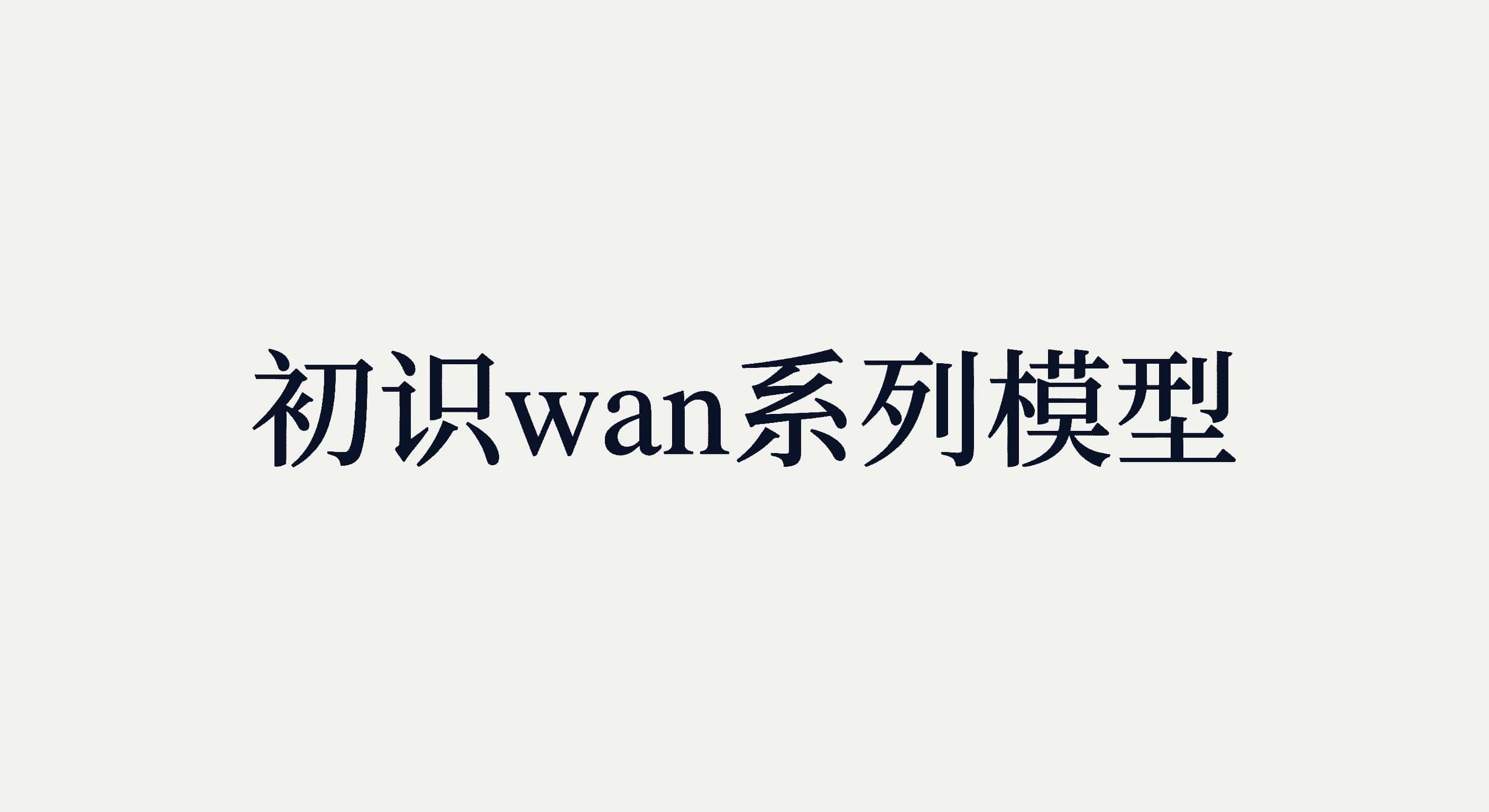 初识wan系列模型